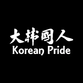 18,2 см * 8 см Модная китайская Корейская наклейка на автомобиль PRIDE, Наклейка на автомобиль, Черный, Серебристый, ПВХ